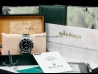 Rolex Sea-Dweller Full Set  16600